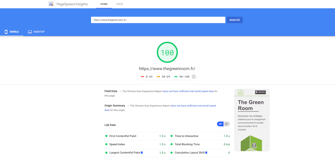 Résultat d'un test de performance sur Google Page Speed